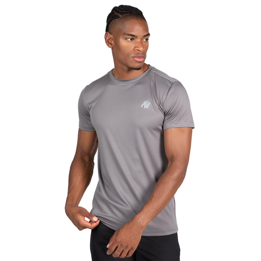 Gorilla Wear Easton T-Shirt Grey